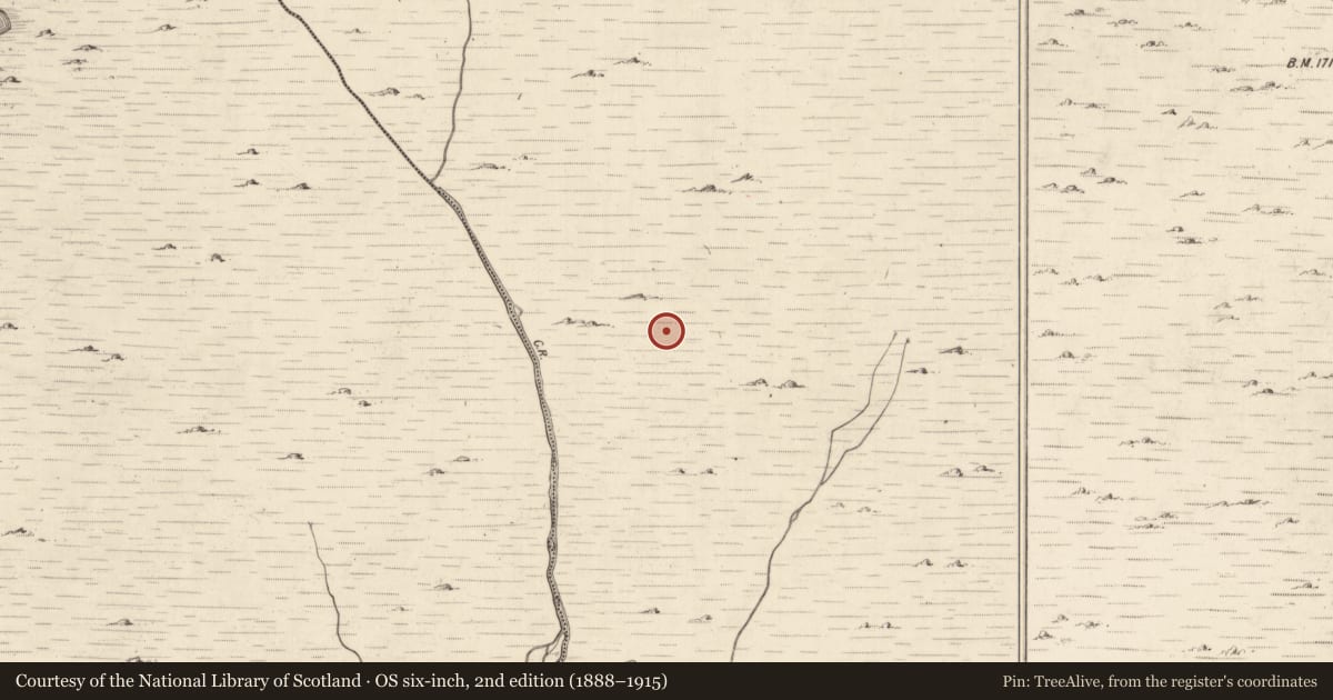 Ordnance Survey six-inch map, 2nd edition (1888–1915) covering the location of Hut site, Mangerton, County Kerry, with a pin at the register's coordinates