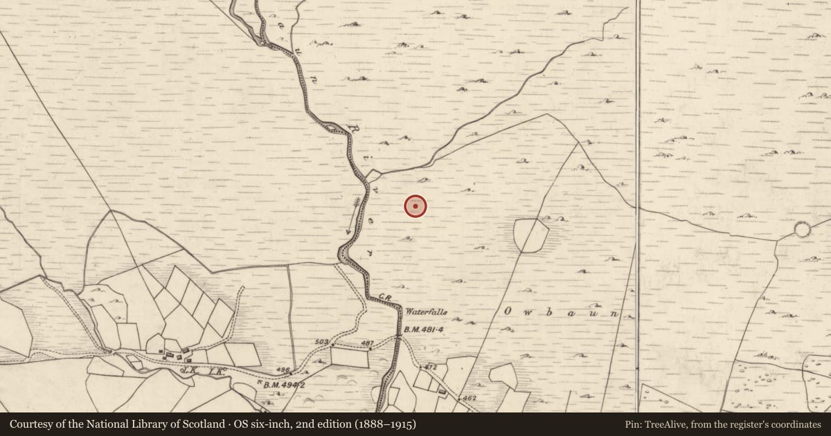 Ordnance Survey six-inch map, 2nd edition (1888–1915) covering the location of Fulacht fia, Mangerton, County Kerry, with a pin at the register's coordinates