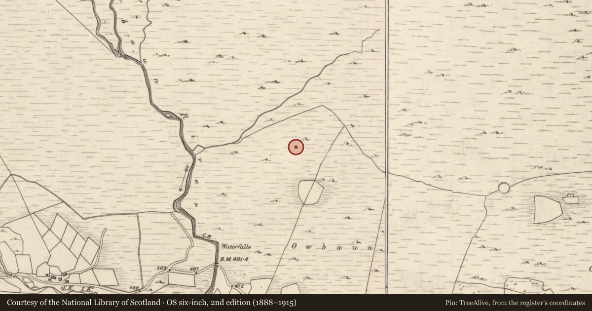 Ordnance Survey six-inch map, 2nd edition (1888–1915) covering the location of Fulacht fia, Mangerton, County Kerry, with a pin at the register's coordinates