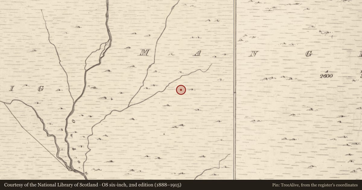 Ordnance Survey six-inch map, 2nd edition (1888–1915) covering the location of Field boundary, Mangerton, County Kerry, with a pin at the register's coordinates