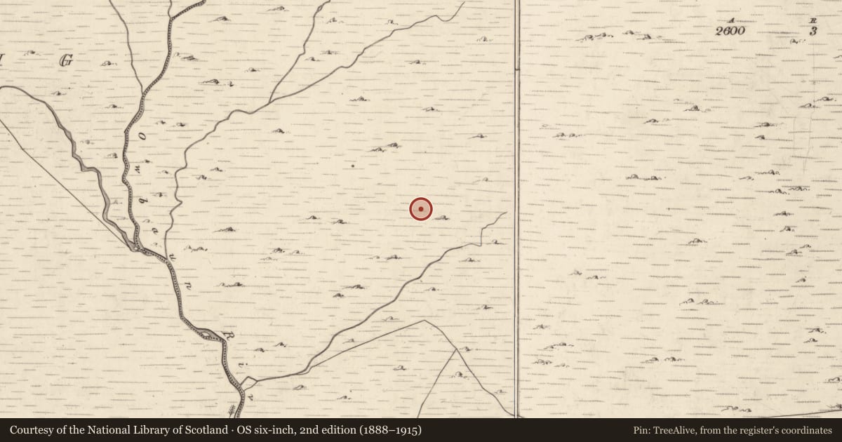 Ordnance Survey six-inch map, 2nd edition (1888–1915) covering the location of Field boundary, Mangerton, County Kerry, with a pin at the register's coordinates