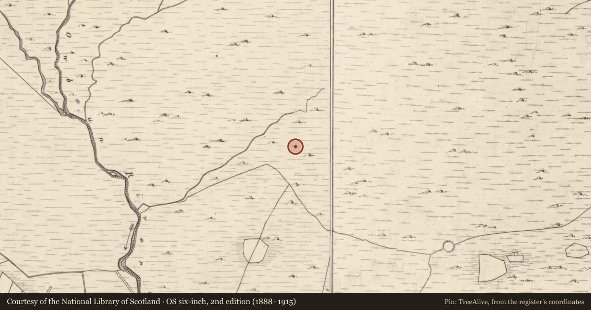 Ordnance Survey six-inch map, 2nd edition (1888–1915) covering the location of Hut site, Mangerton, County Kerry, with a pin at the register's coordinates
