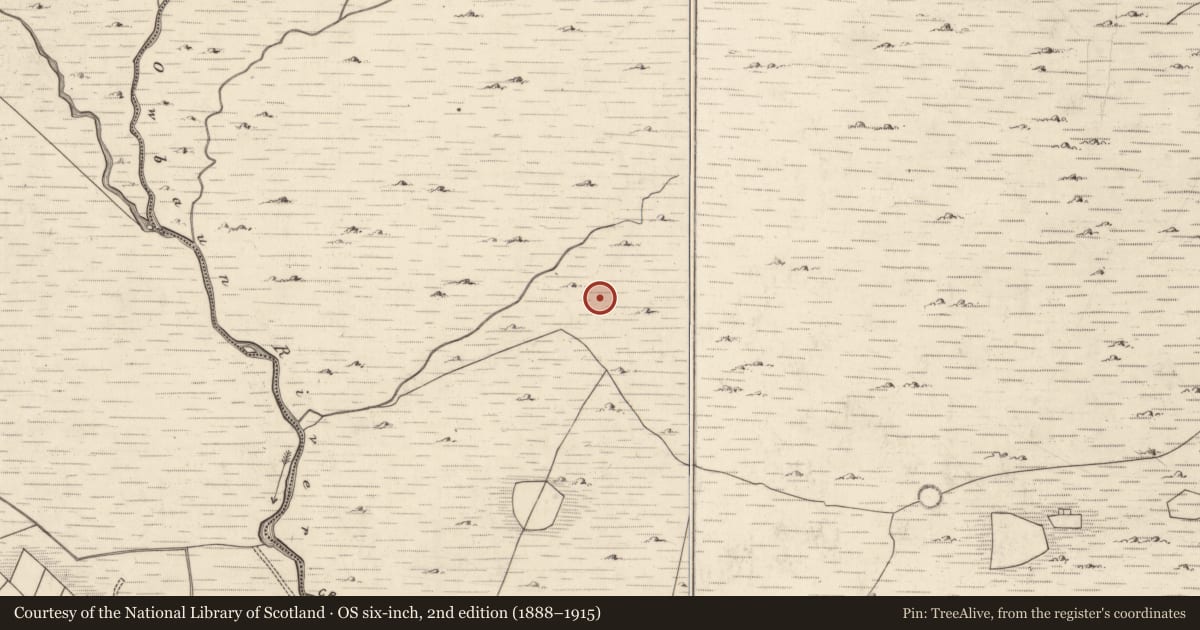 Ordnance Survey six-inch map, 2nd edition (1888–1915) covering the location of Hut site, Mangerton, County Kerry, with a pin at the register's coordinates