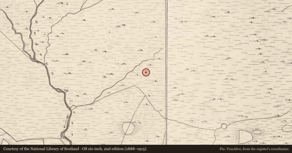 Ordnance Survey six-inch map, 2nd edition (1888–1915) covering the location of Field boundary, Mangerton, County Kerry, with a pin at the register's coordinates