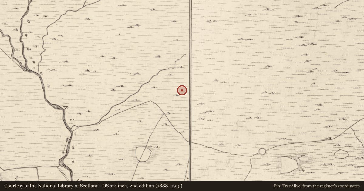 Ordnance Survey six-inch map, 2nd edition (1888–1915) covering the location of Hut site, Mangerton, County Kerry, with a pin at the register's coordinates