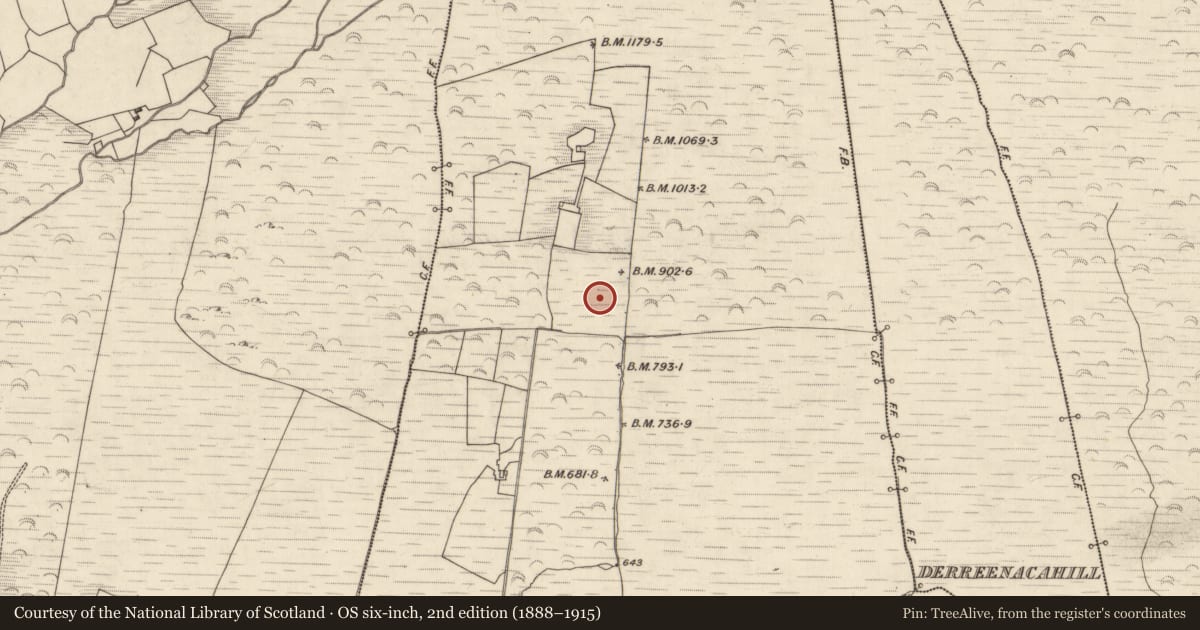 Ordnance Survey six-inch map, 2nd edition (1888–1915) covering the location of Hut site, Tullig, County Kerry, with a pin at the register's coordinates