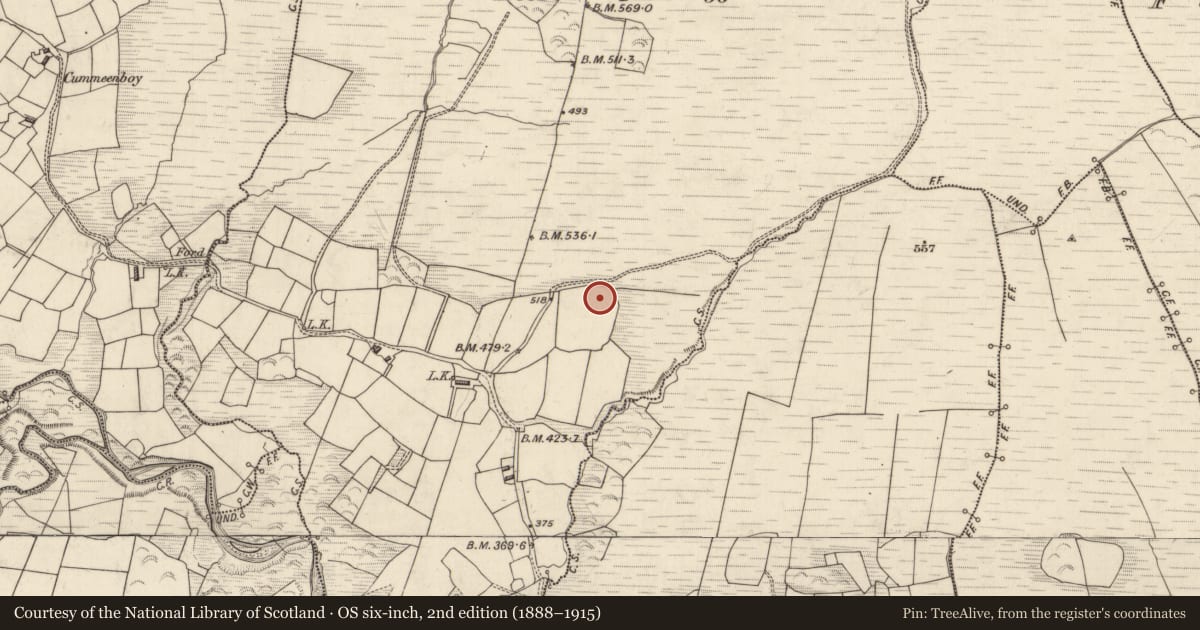 Ordnance Survey six-inch map, 2nd edition (1888–1915) covering the location of Fulacht fia, Tullig, County Kerry, with a pin at the register's coordinates