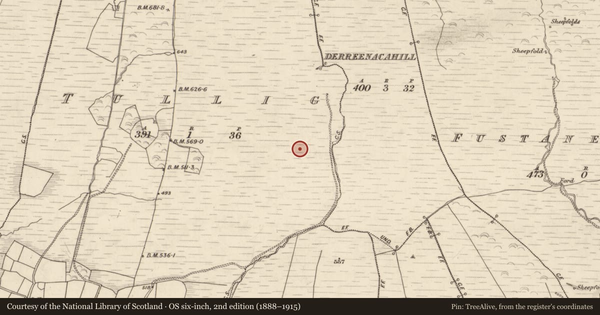 Ordnance Survey six-inch map, 2nd edition (1888–1915) covering the location of Field boundary, Tullig, County Kerry, with a pin at the register's coordinates