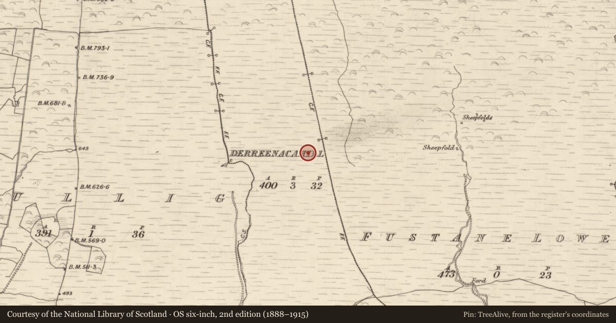 Ordnance Survey six-inch map, 2nd edition (1888–1915) covering the location of Field boundary, Derreenacahill, County Kerry, with a pin at the register's coordinates