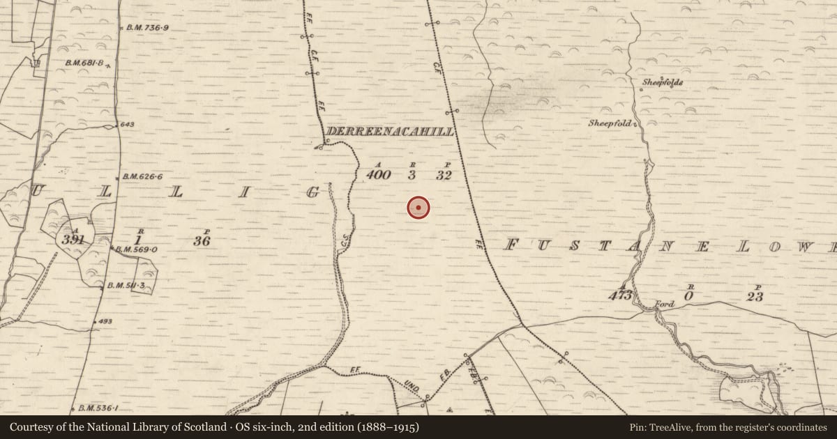 Ordnance Survey six-inch map, 2nd edition (1888–1915) covering the location of Field boundary, Derreenacahill, County Kerry, with a pin at the register's coordinates