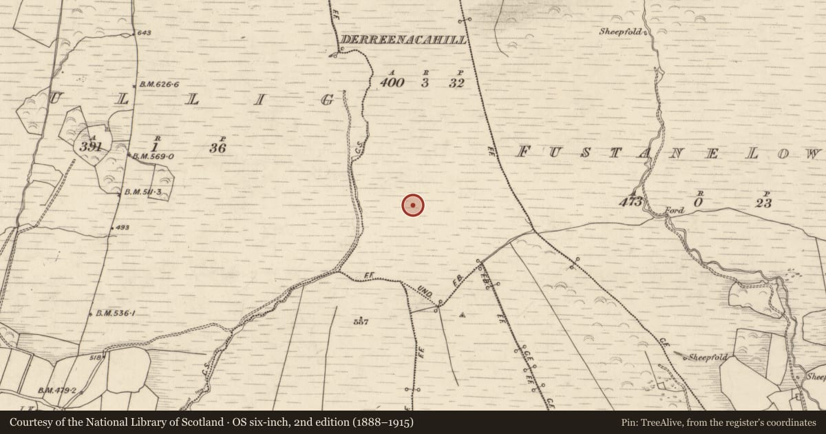 Ordnance Survey six-inch map, 2nd edition (1888–1915) covering the location of Standing stone, Derreenacahill, County Kerry, with a pin at the register's coordinates