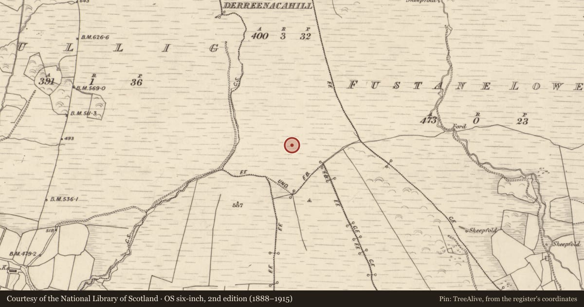 Ordnance Survey six-inch map, 2nd edition (1888–1915) covering the location of Field boundary, Derreenacahill, County Kerry, with a pin at the register's coordinates