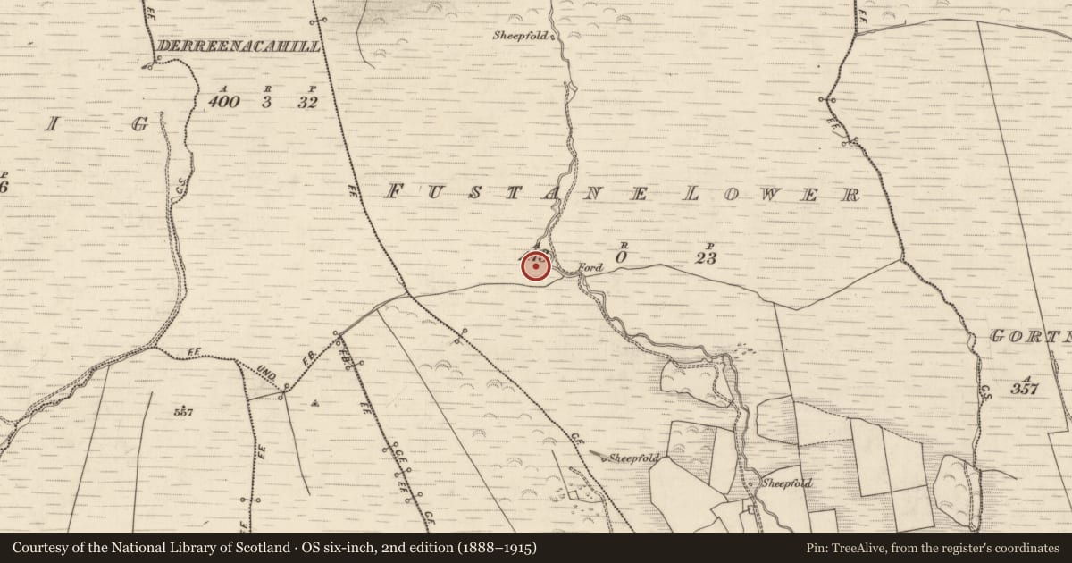 Ordnance Survey six-inch map, 2nd edition (1888–1915) covering the location of Hut site, Fustane Lower, County Kerry, with a pin at the register's coordinates