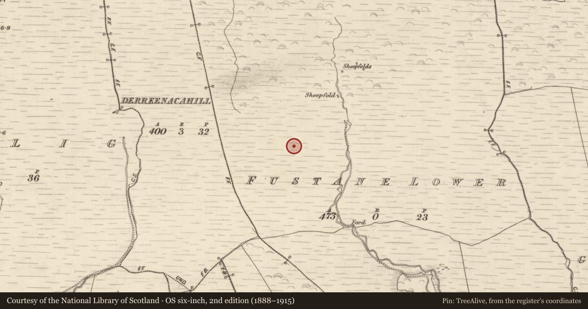 Ordnance Survey six-inch map, 2nd edition (1888–1915) covering the location of Field boundary, Fustane Lower, County Kerry, with a pin at the register's coordinates