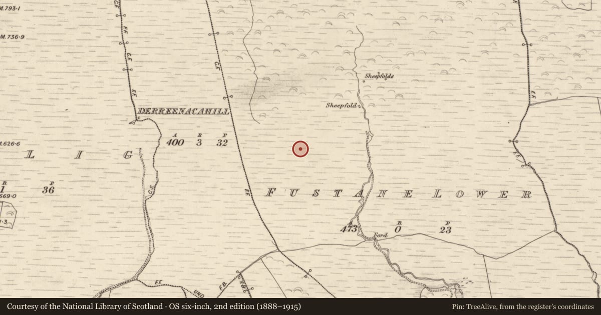 Ordnance Survey six-inch map, 2nd edition (1888–1915) covering the location of Enclosure, Fustane Lower, County Kerry, with a pin at the register's coordinates