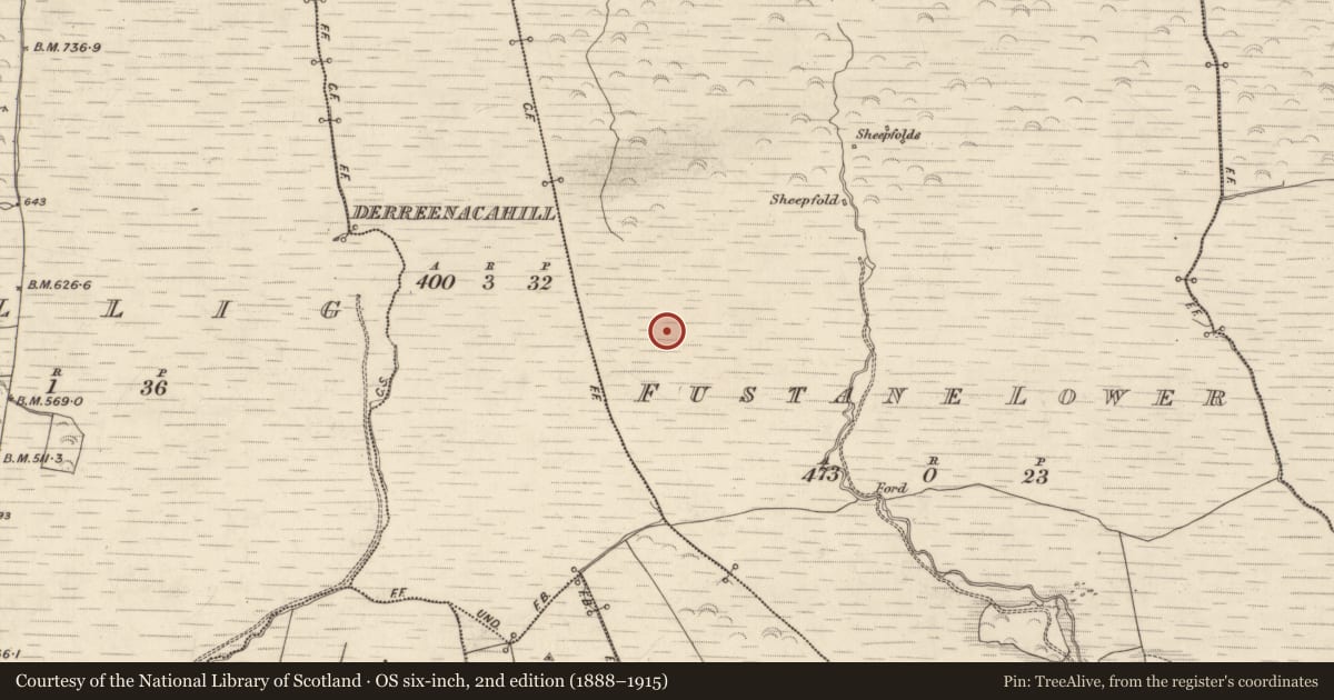 Ordnance Survey six-inch map, 2nd edition (1888–1915) covering the location of Cairn - unclassified, Fustane Lower, County Kerry, with a pin at the register's coordinates