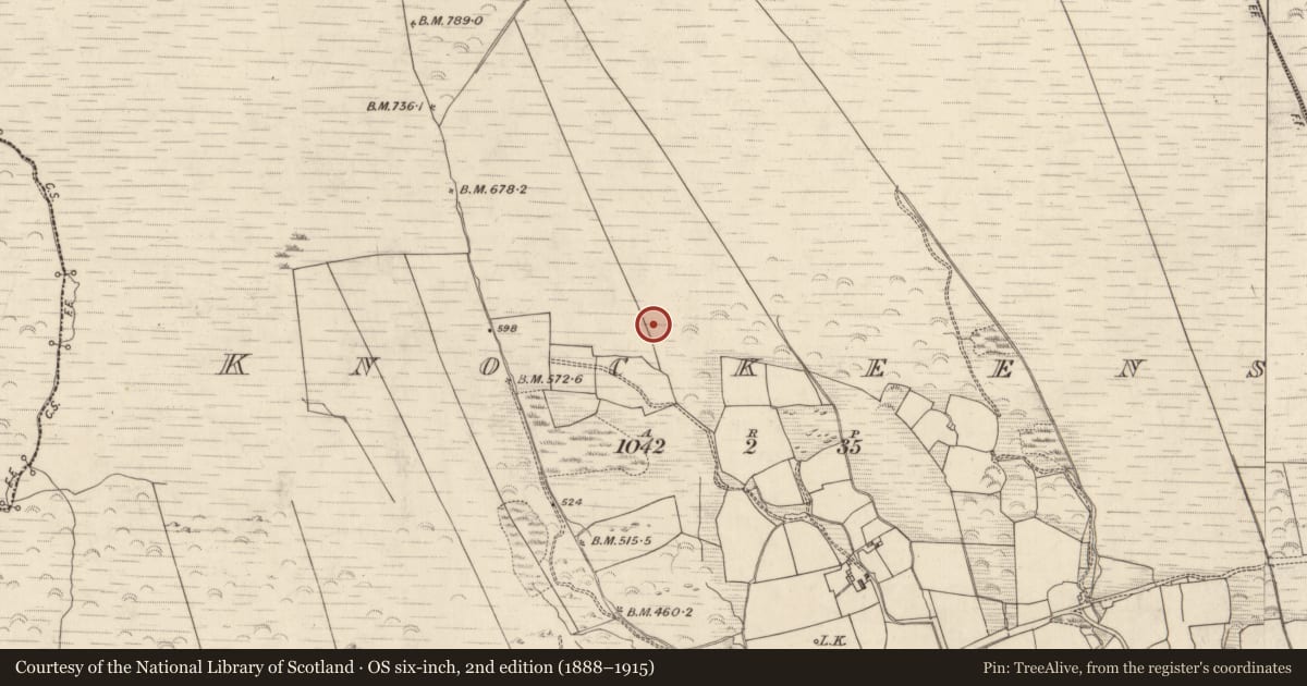 Ordnance Survey six-inch map, 2nd edition (1888–1915) covering the location of Hut site, Knockeens, County Kerry, with a pin at the register's coordinates
