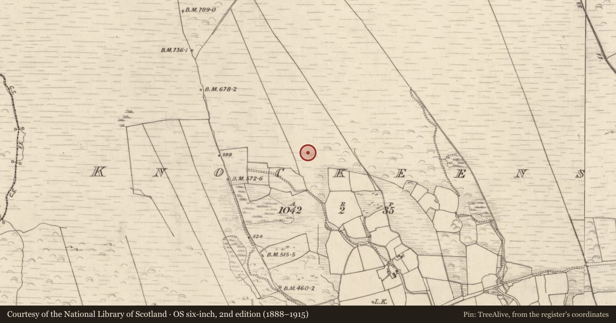 Ordnance Survey six-inch map, 2nd edition (1888–1915) covering the location of Field boundary, Knockeens, County Kerry, with a pin at the register's coordinates