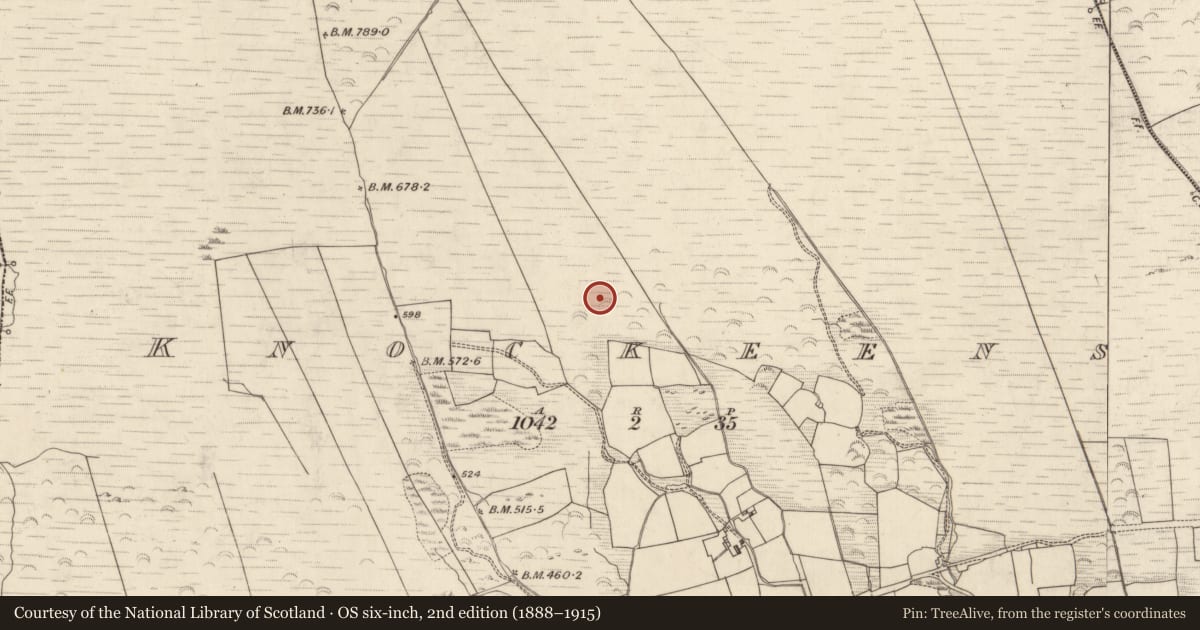 Ordnance Survey six-inch map, 2nd edition (1888–1915) covering the location of Fulacht fia, Knockeens, County Kerry, with a pin at the register's coordinates