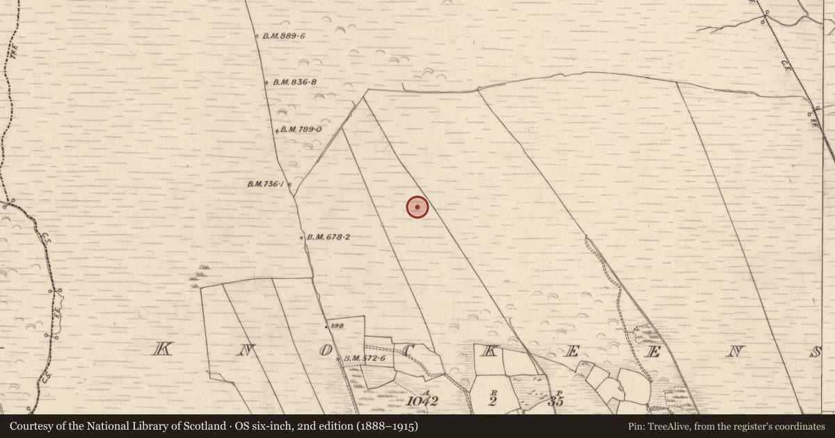 Ordnance Survey six-inch map, 2nd edition (1888–1915) covering the location of Field boundary, Knockeens, County Kerry, with a pin at the register's coordinates