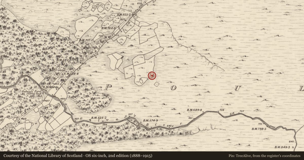 Ordnance Survey six-inch map, 2nd edition (1888–1915) covering the location of Hut site, Poulagower, County Kerry, with a pin at the register's coordinates