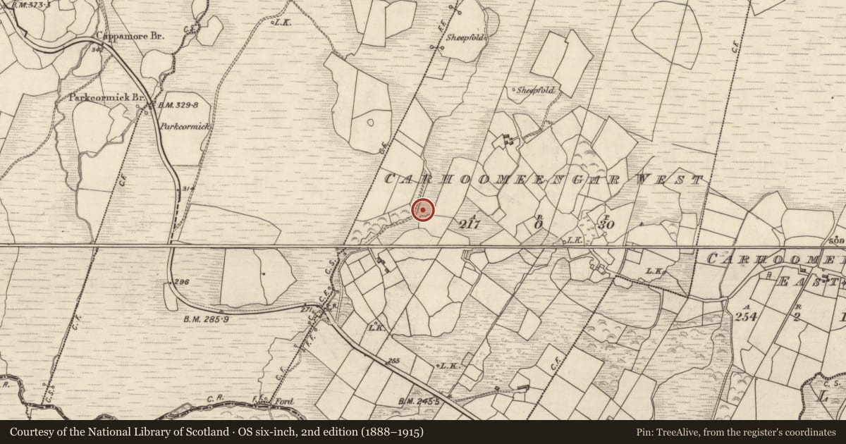 Ordnance Survey six-inch map, 2nd edition (1888–1915) covering the location of Fulacht fia, Carhoomeengar West, County Kerry, with a pin at the register's coordinates