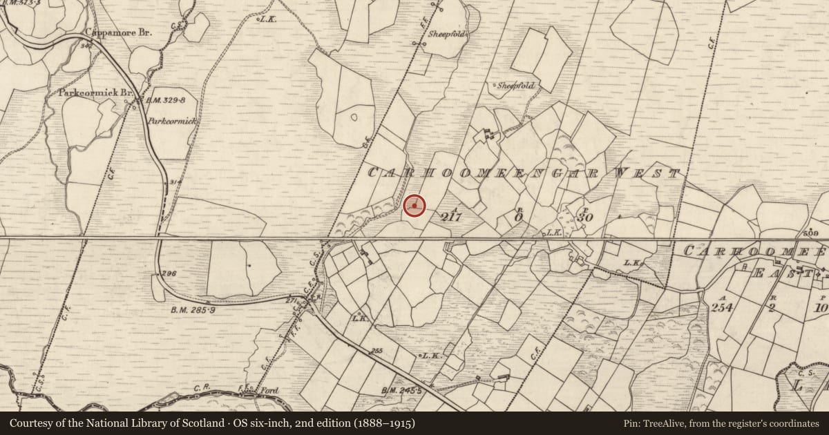 Ordnance Survey six-inch map, 2nd edition (1888–1915) covering the location of Fulacht fia, Carhoomeengar West, County Kerry, with a pin at the register's coordinates