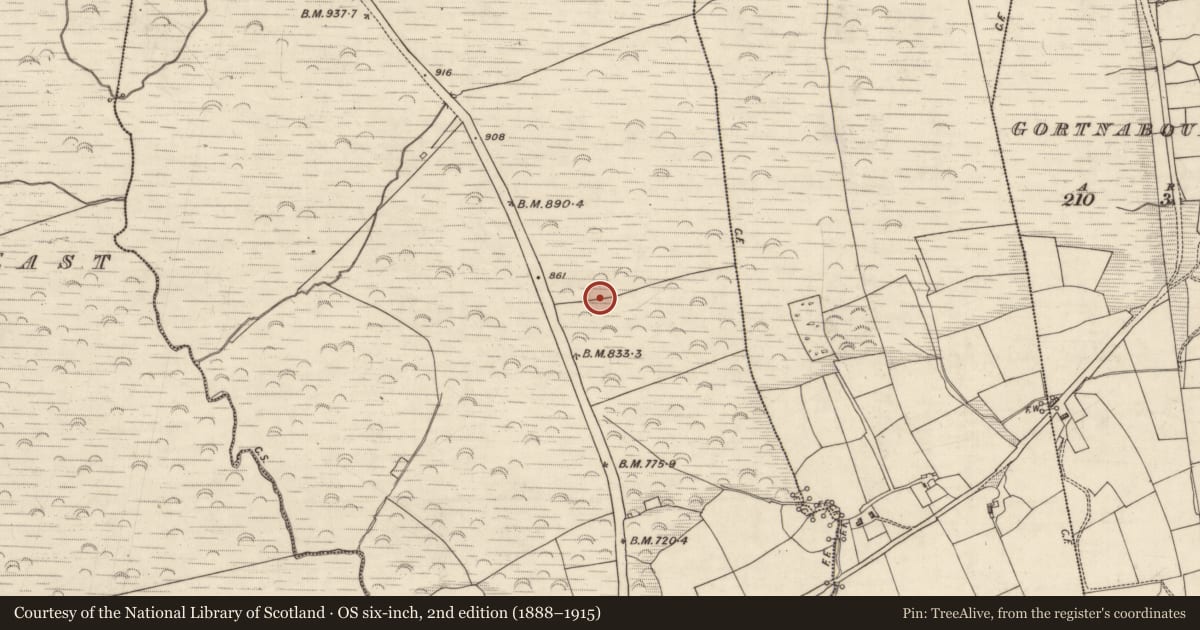 Ordnance Survey six-inch map, 2nd edition (1888–1915) covering the location of Cist, Gowlane, County Kerry, with a pin at the register's coordinates