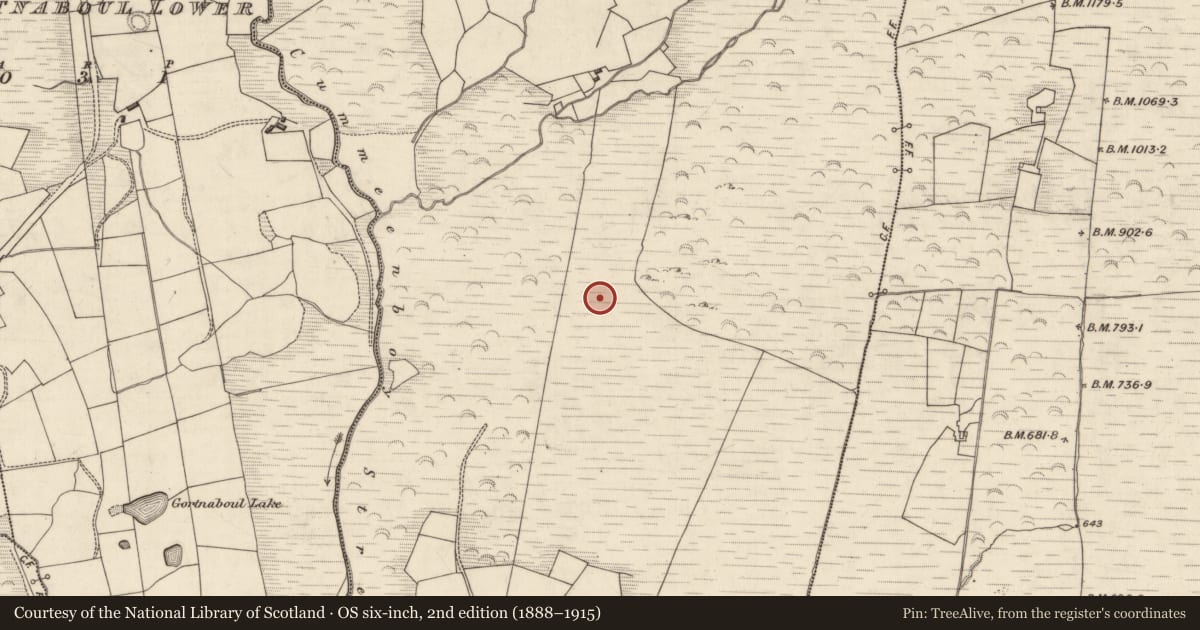 Ordnance Survey six-inch map, 2nd edition (1888–1915) covering the location of Hut site, Cummeenboy, County Kerry, with a pin at the register's coordinates