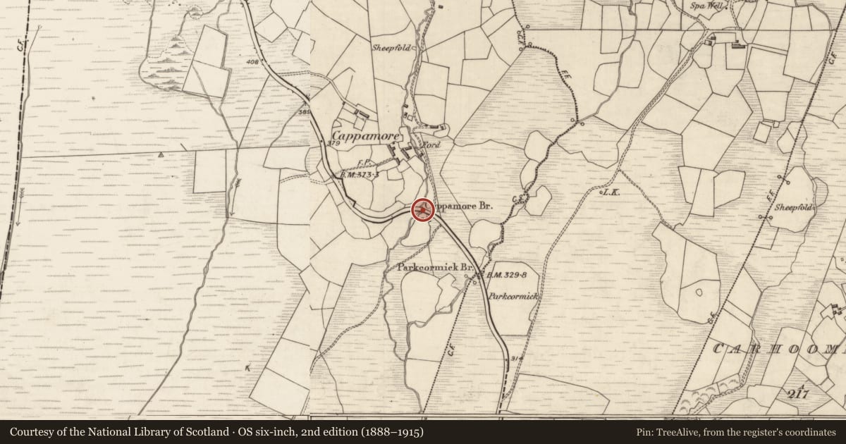 Ordnance Survey six-inch map, 2nd edition (1888–1915) covering the location of Bridge, Cappamore, County Kerry, with a pin at the register's coordinates
