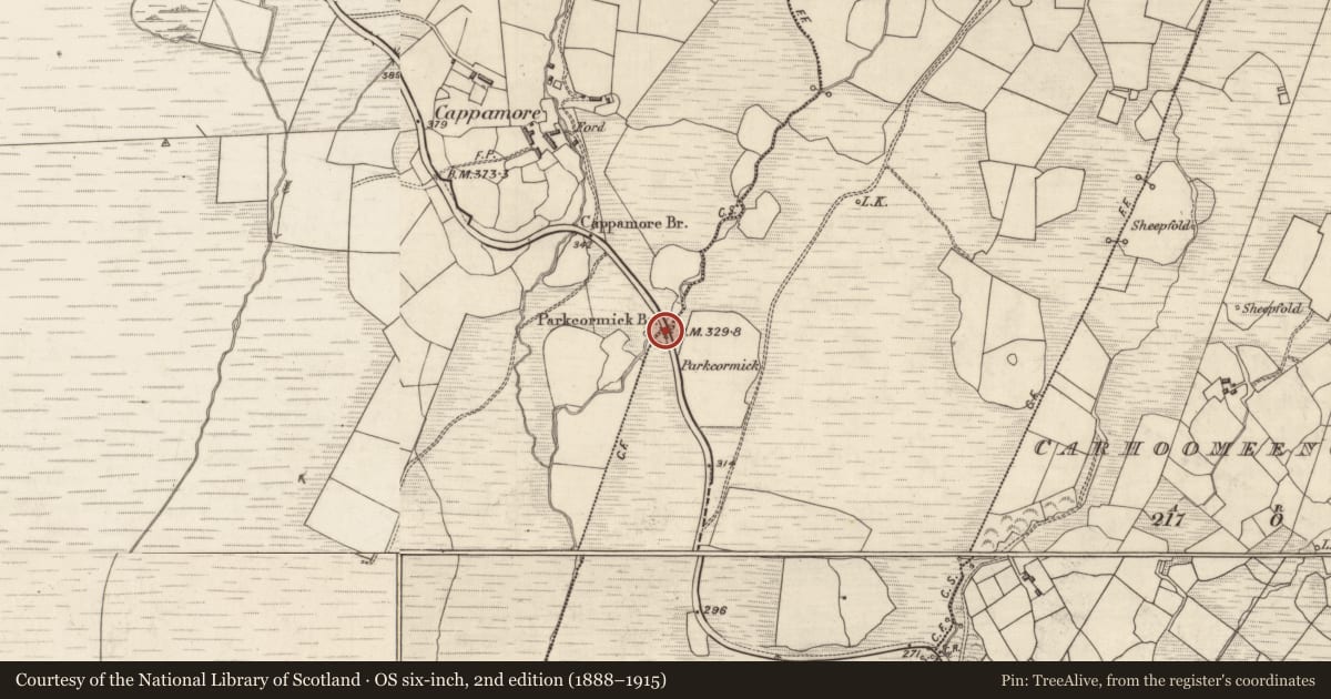 Ordnance Survey six-inch map, 2nd edition (1888–1915) covering the location of Bridge, Cappamore, Kilkeana, County Kerry, with a pin at the register's coordinates