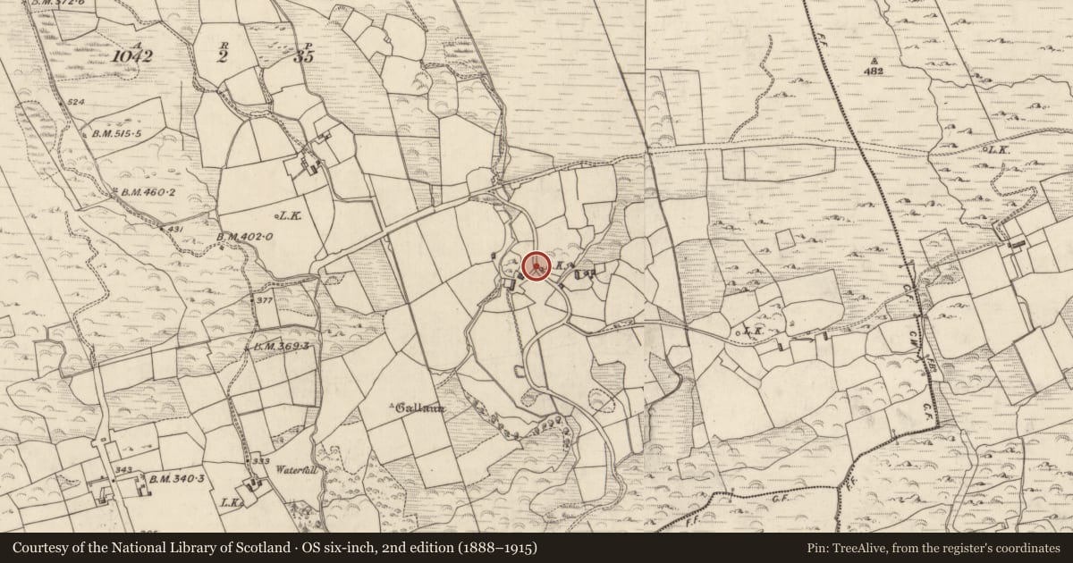 Ordnance Survey six-inch map, 2nd edition (1888–1915) covering the location of Kiln - lime, Knockeens, County Kerry, with a pin at the register's coordinates