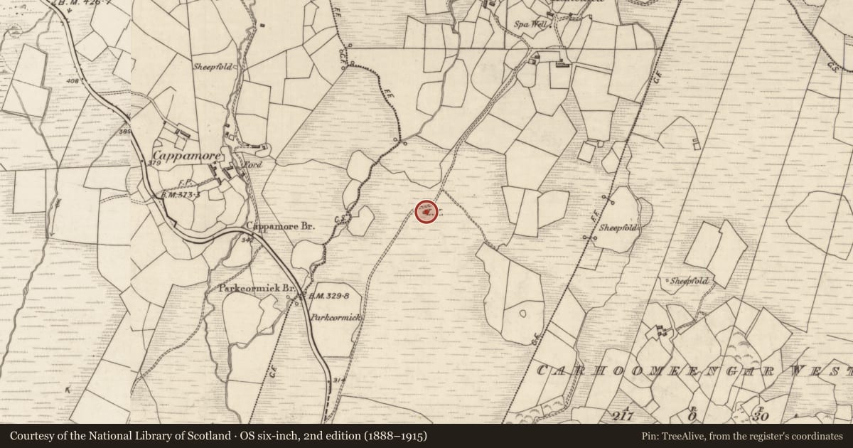 Ordnance Survey six-inch map, 2nd edition (1888–1915) covering the location of Kiln - lime, Kilkeana, County Kerry, with a pin at the register's coordinates