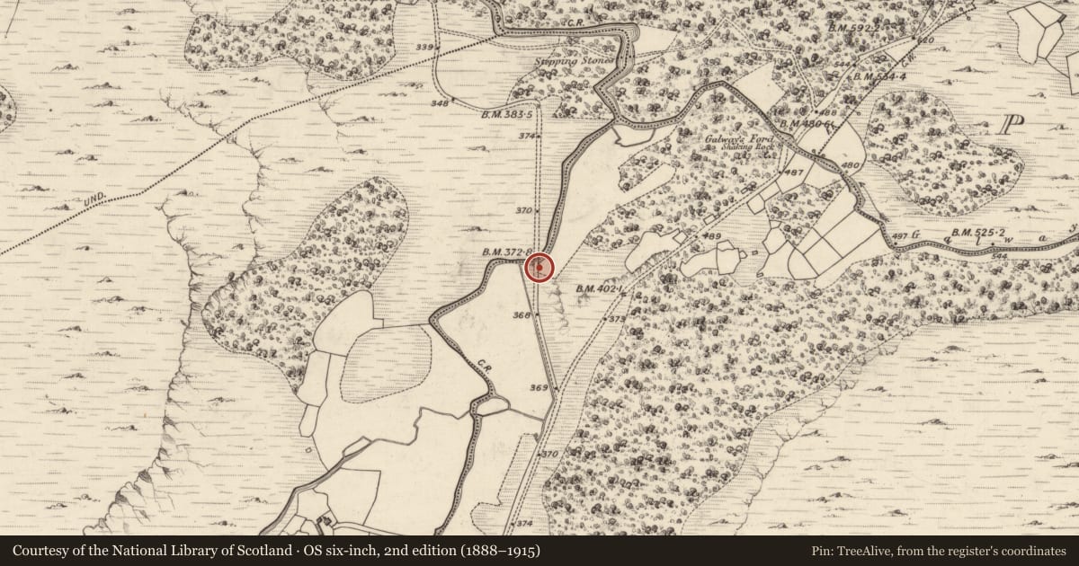 Ordnance Survey six-inch map, 2nd edition (1888–1915) covering the location of Bridge, Incheens, County Kerry, with a pin at the register's coordinates