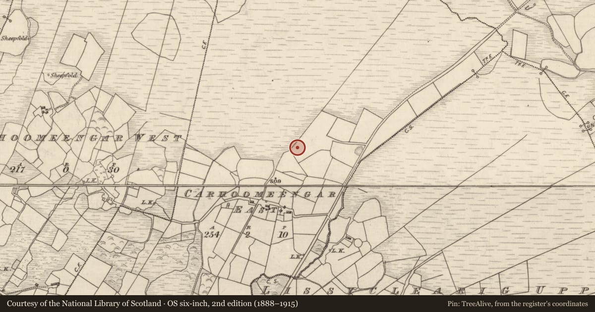 Ordnance Survey six-inch map, 2nd edition (1888–1915) covering the location of Rock art, Carhoomeengar East, County Kerry, with a pin at the register's coordinates