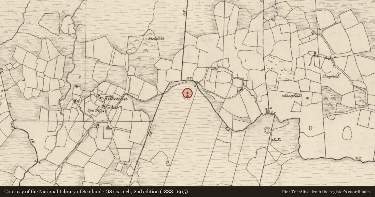 Ordnance Survey six-inch map, 2nd edition (1888–1915) covering the location of Hut site, Carhoomeengar West, County Kerry, with a pin at the register's coordinates