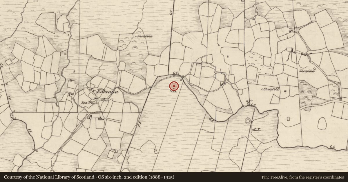 Ordnance Survey six-inch map, 2nd edition (1888–1915) covering the location of Souterrain, Carhoomeengar West, County Kerry, with a pin at the register's coordinates