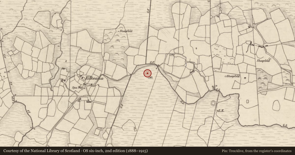 Ordnance Survey six-inch map, 2nd edition (1888–1915) covering the location of Field boundary, Carhoomeengar West, County Kerry, with a pin at the register's coordinates