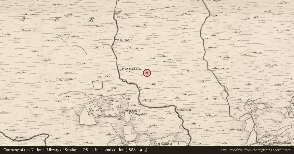 Ordnance Survey six-inch map, 2nd edition (1888–1915) covering the location of Megalithic tomb - wedge tomb, Crohane, County Kerry, with a pin at the register's coordinates