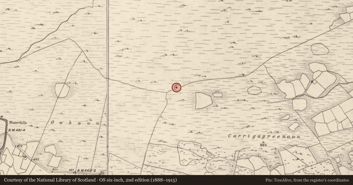 Ordnance Survey six-inch map, 2nd edition (1888–1915) covering the location of Ringfort - cashel, Mangerton, County Kerry, with a pin at the register's coordinates