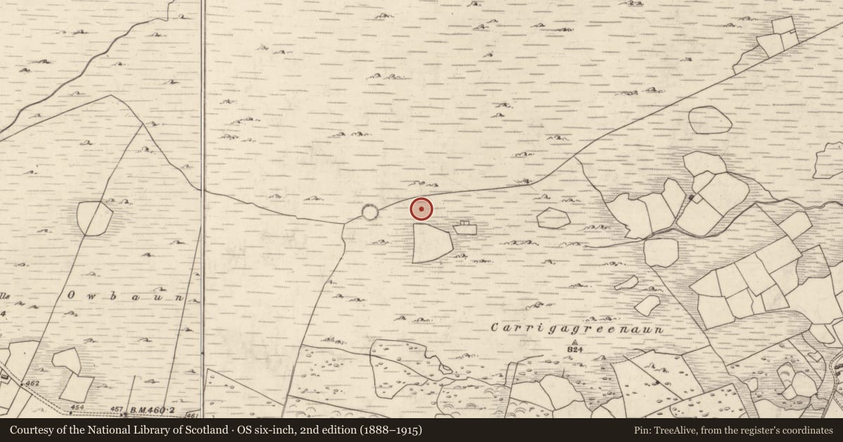 Ordnance Survey six-inch map, 2nd edition (1888–1915) covering the location of Enclosure, Mangerton, County Kerry, with a pin at the register's coordinates