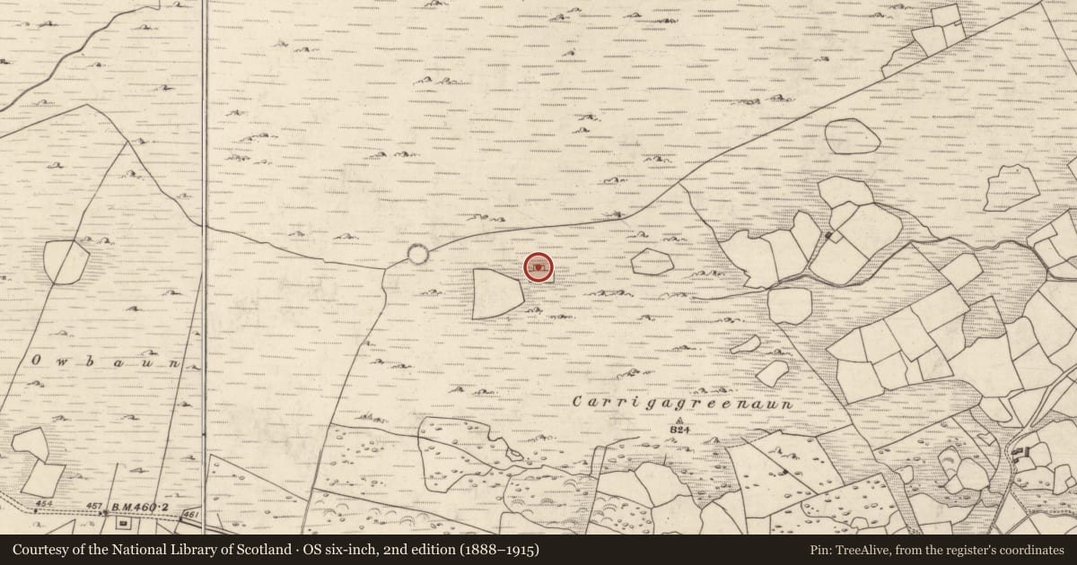 Ordnance Survey six-inch map, 2nd edition (1888–1915) covering the location of Booley hut, Mangerton, County Kerry, with a pin at the register's coordinates