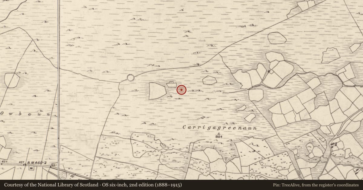 Ordnance Survey six-inch map, 2nd edition (1888–1915) covering the location of Enclosure, Mangerton, County Kerry, with a pin at the register's coordinates