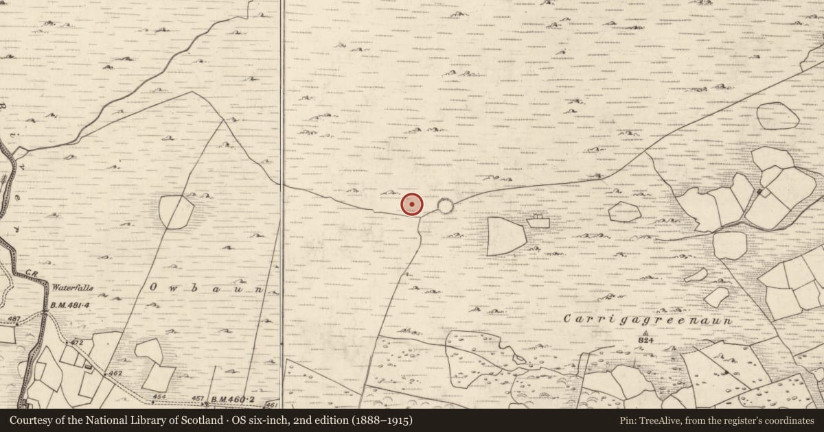 Ordnance Survey six-inch map, 2nd edition (1888–1915) covering the location of Hut site, Mangerton, County Kerry, with a pin at the register's coordinates
