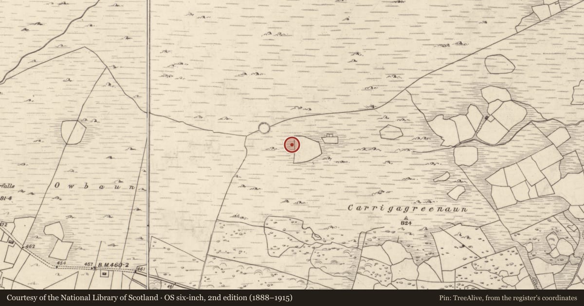 Ordnance Survey six-inch map, 2nd edition (1888–1915) covering the location of Field boundary, Mangerton, County Kerry, with a pin at the register's coordinates