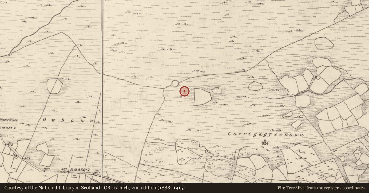 Ordnance Survey six-inch map, 2nd edition (1888–1915) covering the location of Enclosure, Mangerton, County Kerry, with a pin at the register's coordinates
