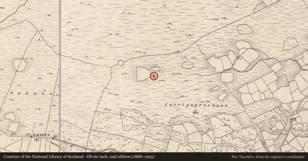 Ordnance Survey six-inch map, 2nd edition (1888–1915) covering the location of Hut site, Mangerton, County Kerry, with a pin at the register's coordinates