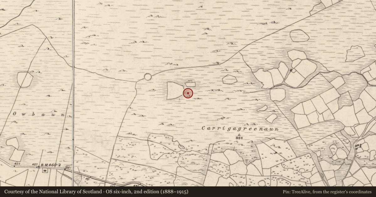 Ordnance Survey six-inch map, 2nd edition (1888–1915) covering the location of Hut site, Mangerton, County Kerry, with a pin at the register's coordinates