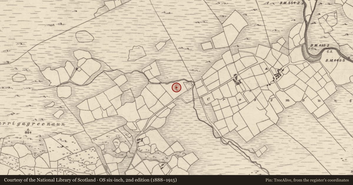 Ordnance Survey six-inch map, 2nd edition (1888–1915) covering the location of Ringfort - cashel, Mangerton, County Kerry, with a pin at the register's coordinates