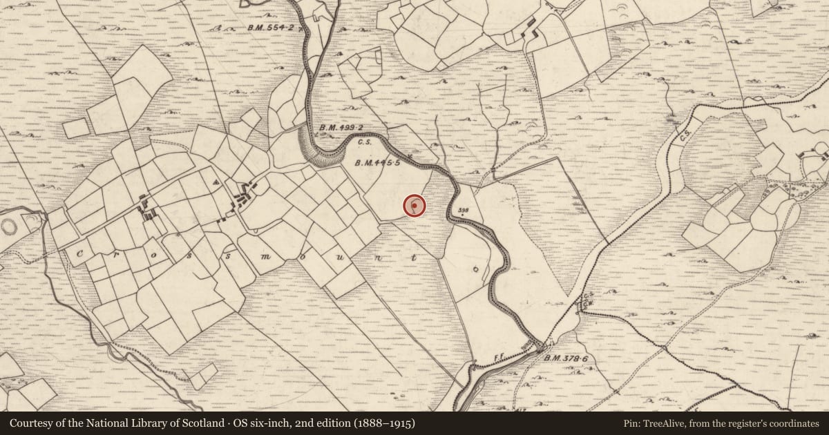 Ordnance Survey six-inch map, 2nd edition (1888–1915) covering the location of Ogham stone, Mangerton, County Kerry, with a pin at the register's coordinates